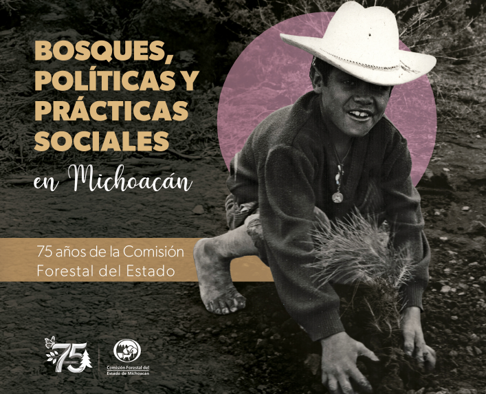 BOSQUES, POLÍTICAS Y PRÁCTICAS SOCIALES EN MICHOACÁN